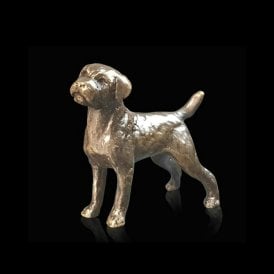 Border Terrier (2072)