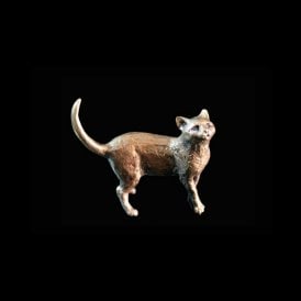 Cat Standing (2026)