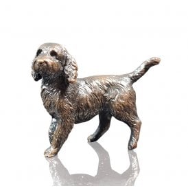 Cockapoo (1152)