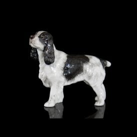 Cocker Spaniel (103BC)