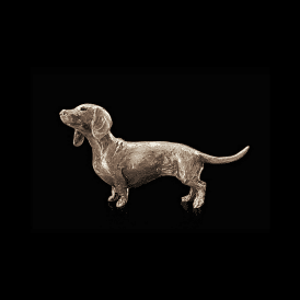 Dachshund (2082)