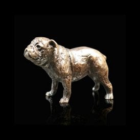 English Bull Dog (2086)