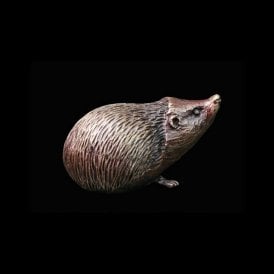 Hedgehog (2040)