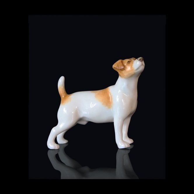 Richard Cooper & Company Jack Russell (102BC)
