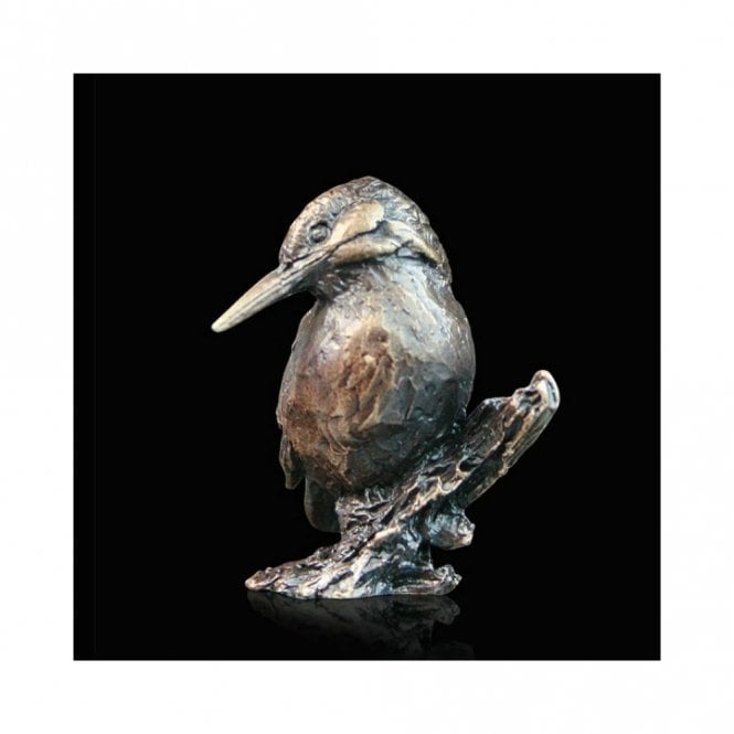 Richard Cooper & Company Kingfisher (2078)