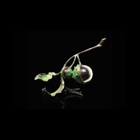 Large Conker "Hint of Autumn" (714)