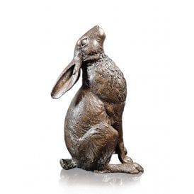 Large Hare Moon Gazing (1160)