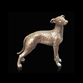 Lurcher (2073)