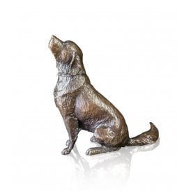 Medium Retriever Sitting (1131)