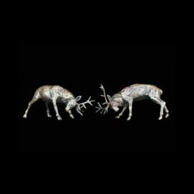 Rutting Stags (2051)