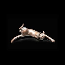 Small Cat Dozing (1062)