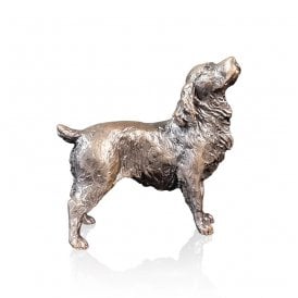 Small Cocker Spaniel (1196)