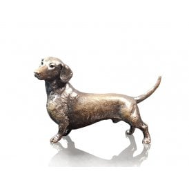Small Dachshund (1149)