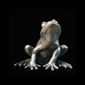 Small Frog Alert (918)