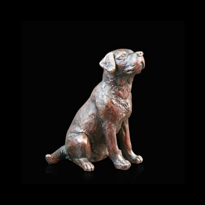 Richard Cooper & Company Small Labrador Sitting (864)