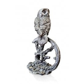 Small Tawny Owl (1188)
