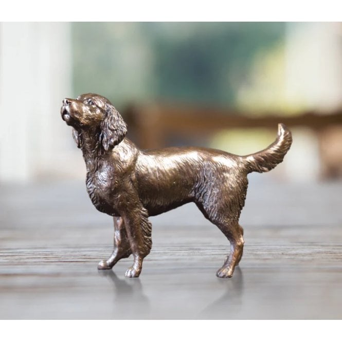 Richard Cooper & Company Springer Spaniel (1130)