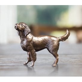 Springer Spaniel (1130)