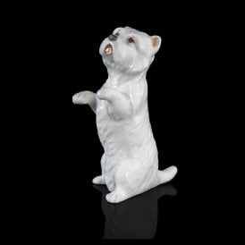 Westie (105BC)
