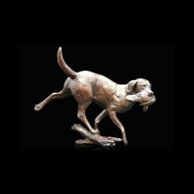 Working Labrador (1015)