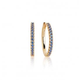 Ellera Grande 18k Gold Plated Blue Zirconia Earrings SJ-E2869-BLN 