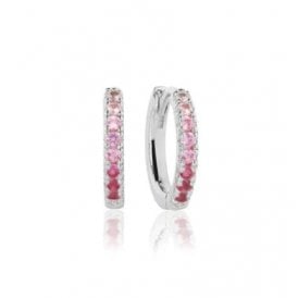 Ellera Medio Pink Hoops Earrings SJ-E2859-GPK