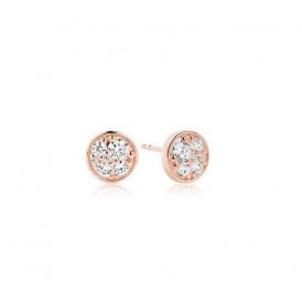 Novara Piccolo Rose Gold Plated Earrings SJ-E1055-CZ(RG)