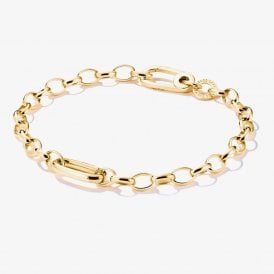 Connect Link Gold Plated Charm Bracelet C1202-413-39-L19 (19cm)