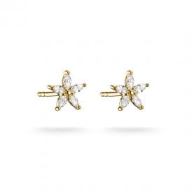 Flower Stud Earrings with White Zirconia H2376-M01-14