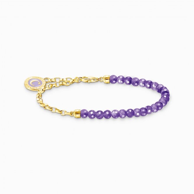 Thomas Sabo MEMBER CHARM BRACELET YGP PURPLE BEADS A2130-427-13-L17