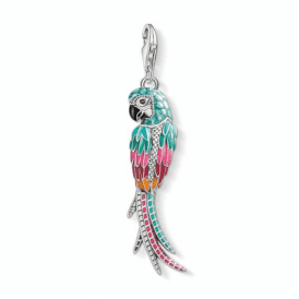 Silver Parrot Charm