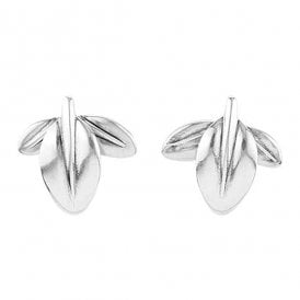 Corre Forrest Earrings PEN0643MTL0000U 