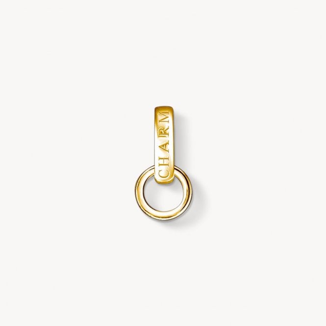 Yellow Gold Plated Carrier Charm X0248-413-39