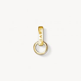 Yellow Gold Plated Carrier Charm X0248-413-39